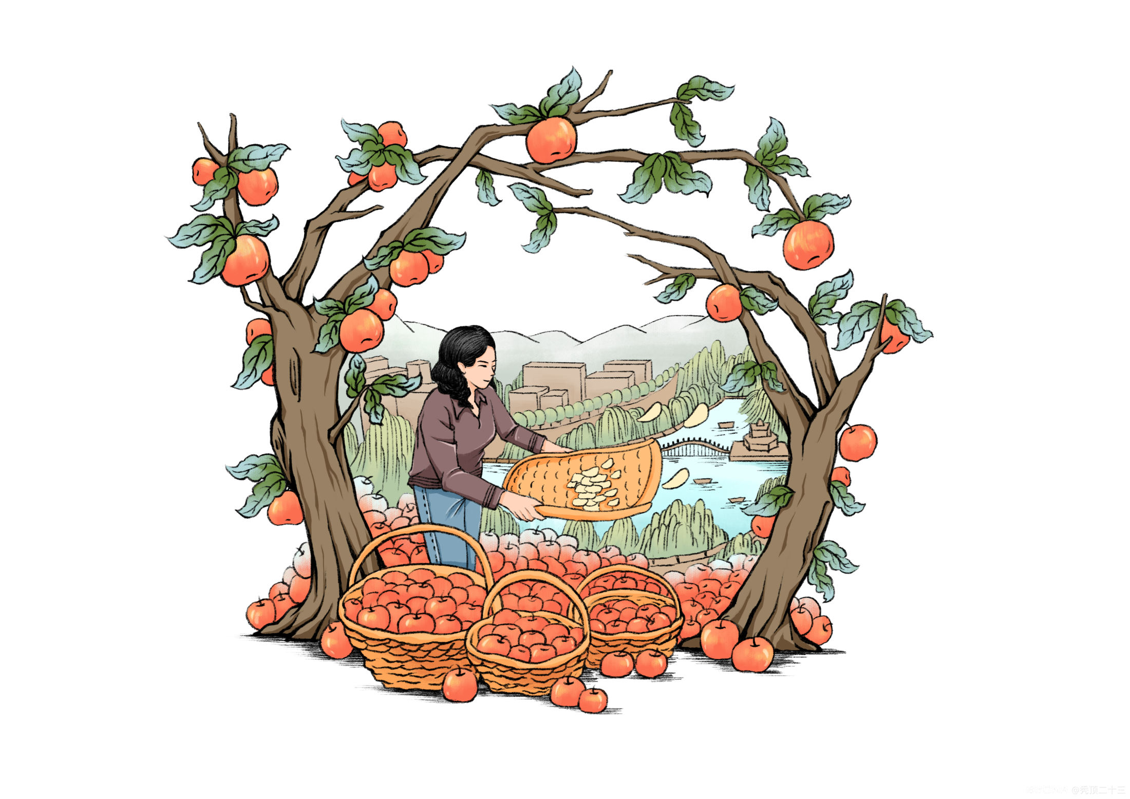 《印台苹果脆》农产品包装插画设计 图2