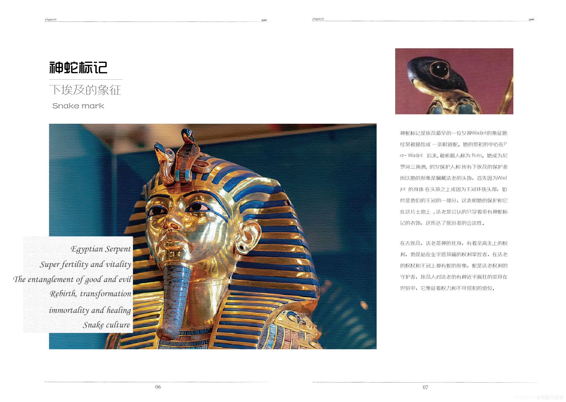 《埃及字符》整本书籍装帧设计 图7