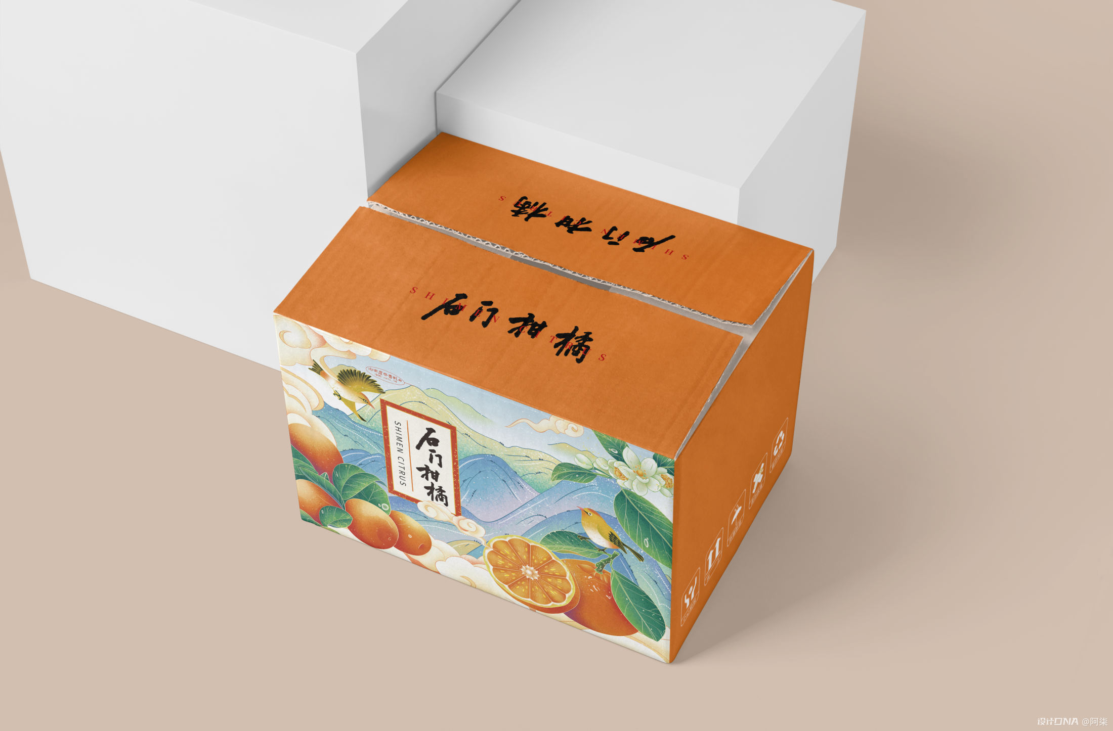 阿柒设计x石门柑橘包装设计 图7
