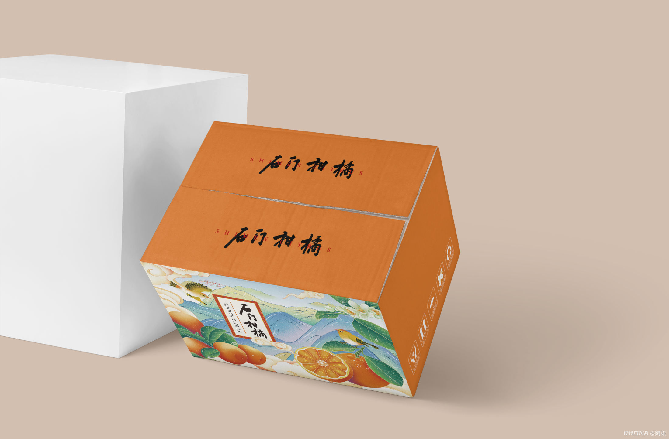 阿柒设计x石门柑橘包装设计 图5