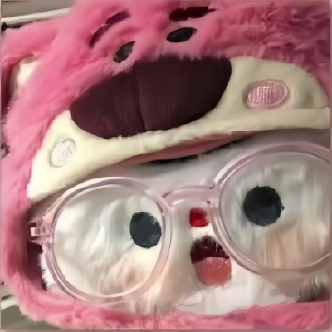 飞天小猪