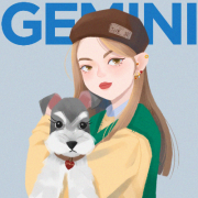 罗罗Gemini