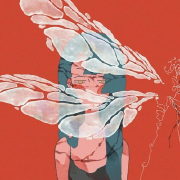 王之野_Koi
