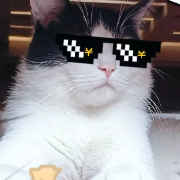 三只猫的铲屎官