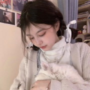小海蒂