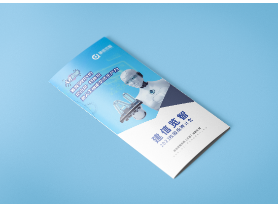 建信览智2022校园招聘计划三折页案例