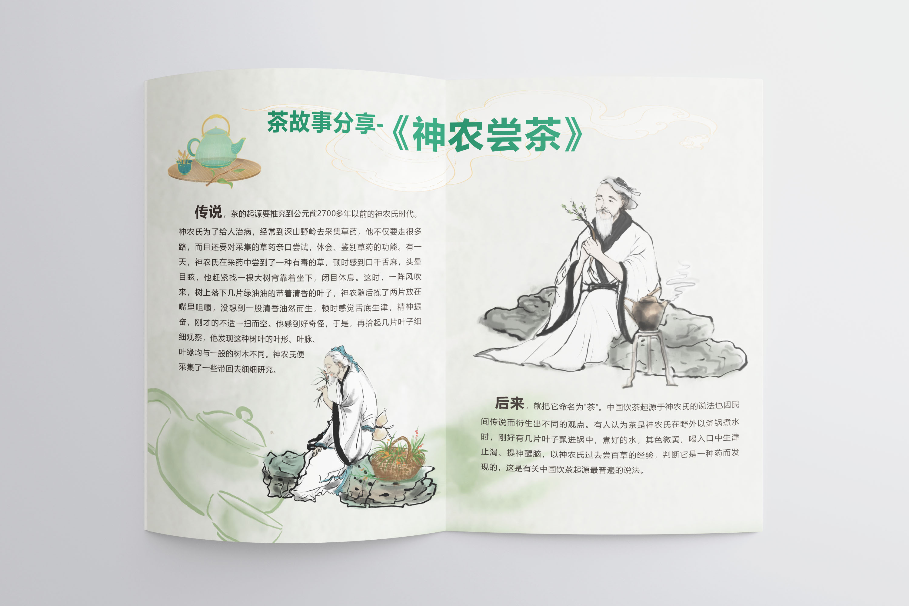 茶研学手册 排版设计 图7