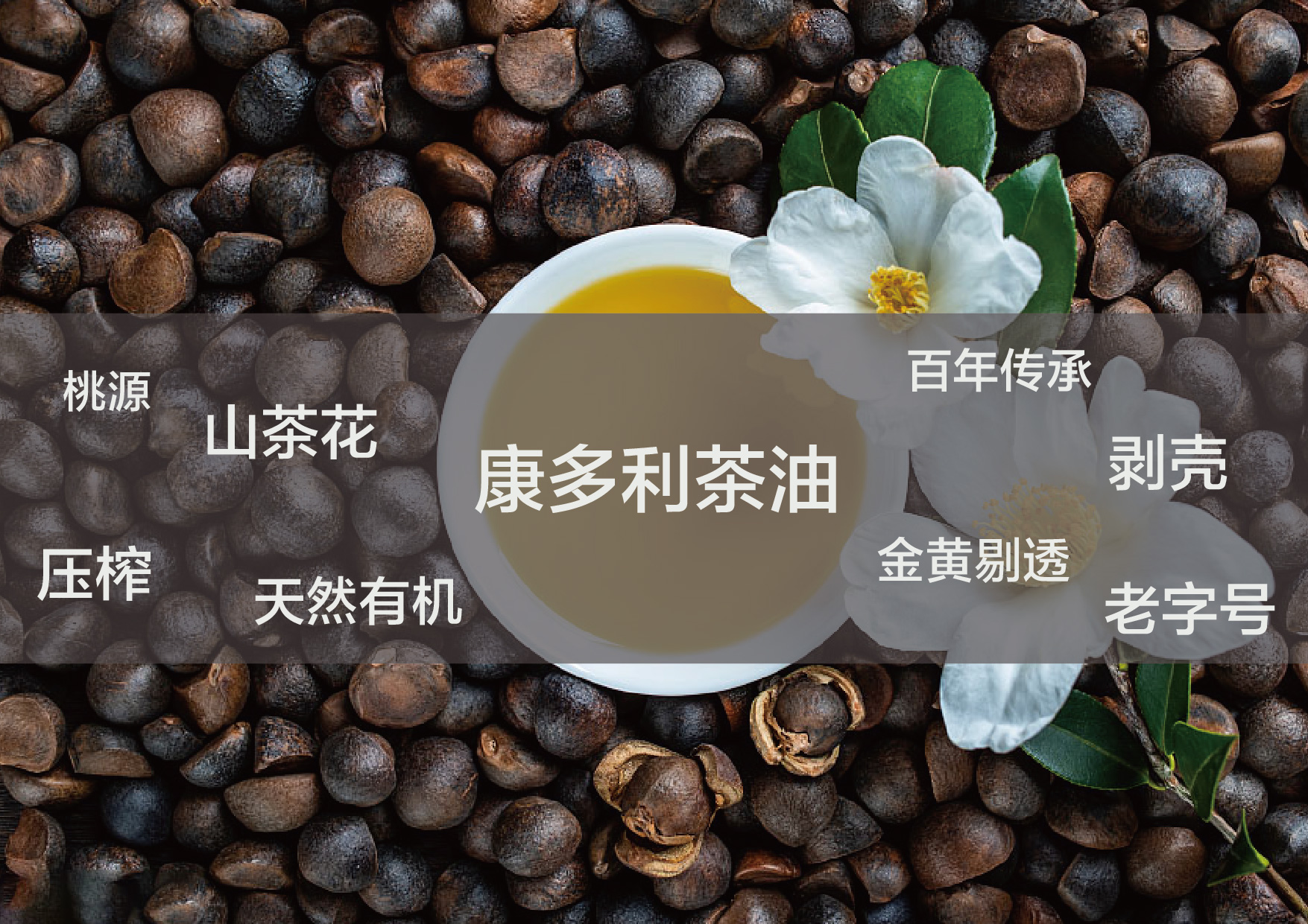 康多利茶油品牌logo设计提案 图3