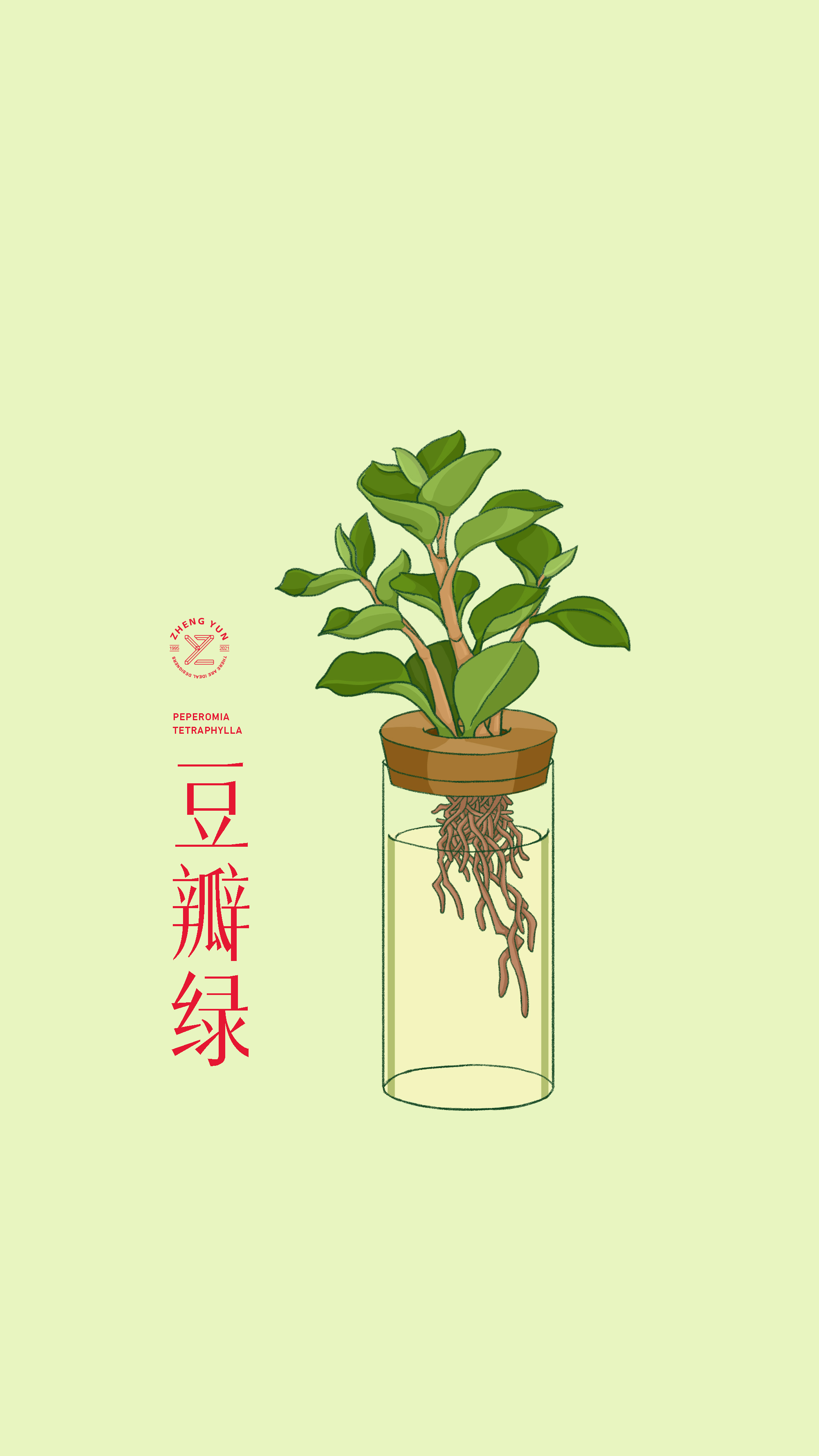 扁平植物插画 图5