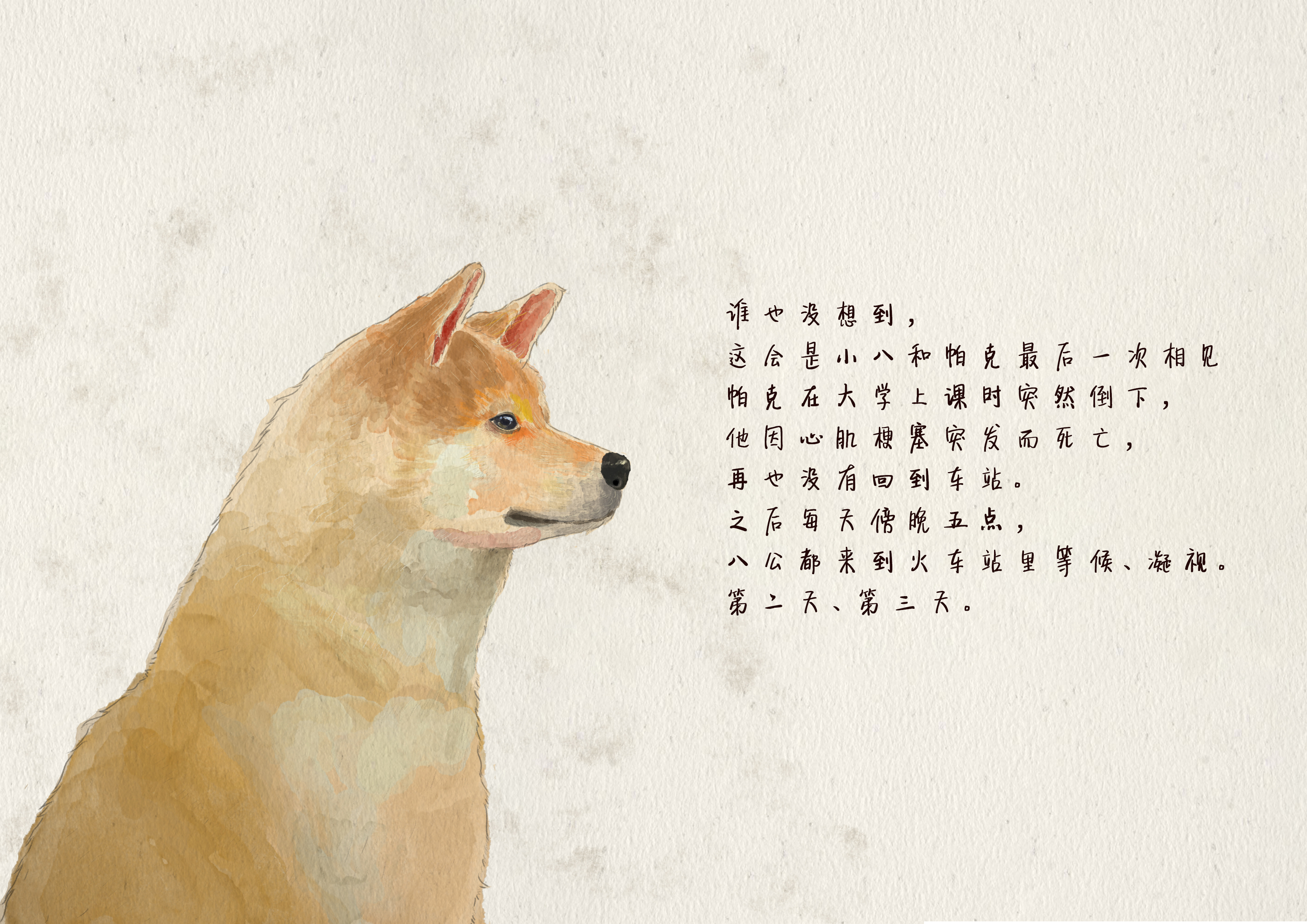 《忠犬八公》 图14