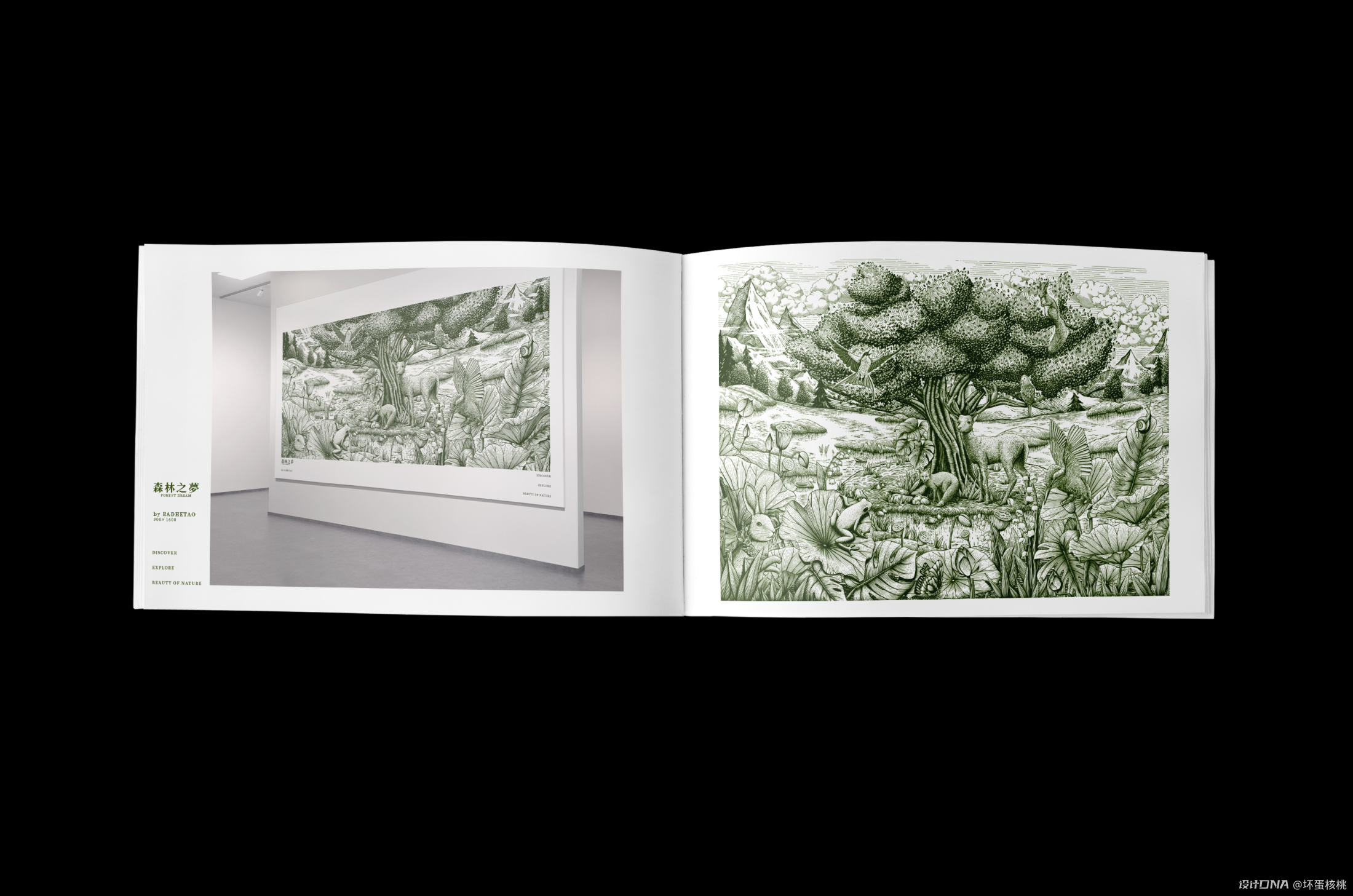 森林情景 自然生机|钢笔画风格包装插画 图13