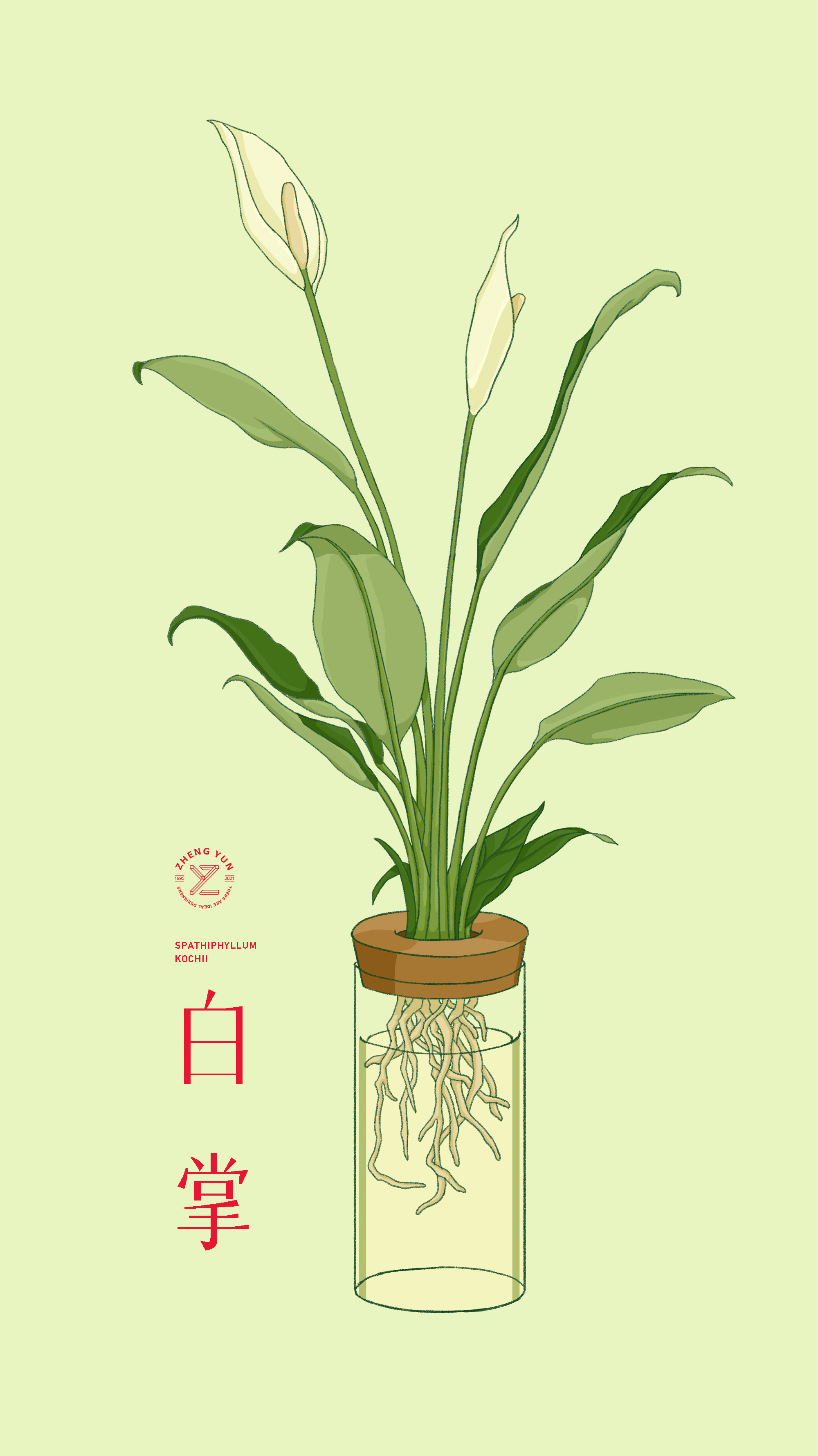 扁平植物插画 图3