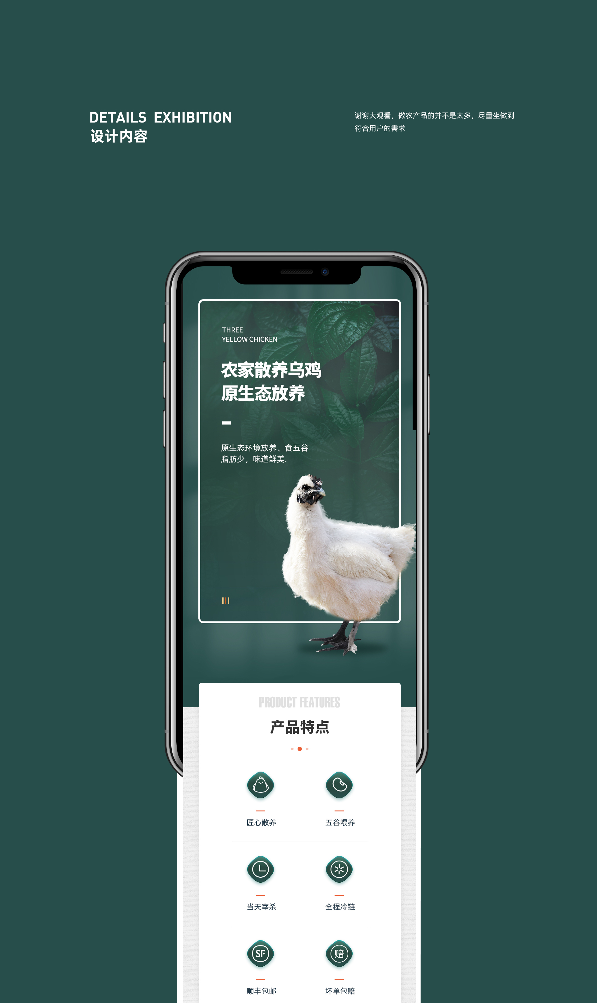 电商-乌鸡详情总结设计。 图5
