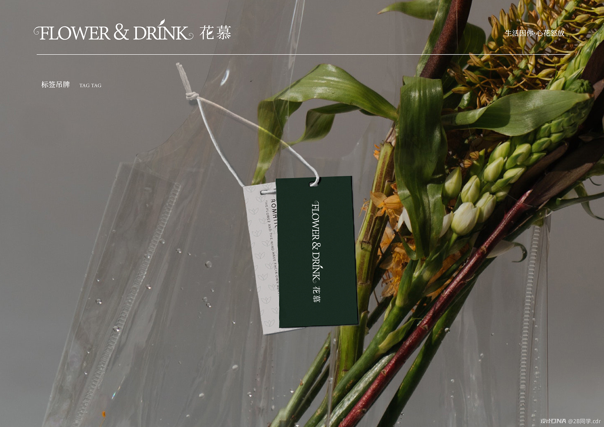 【Flower & Drink花慕】VI 图12
