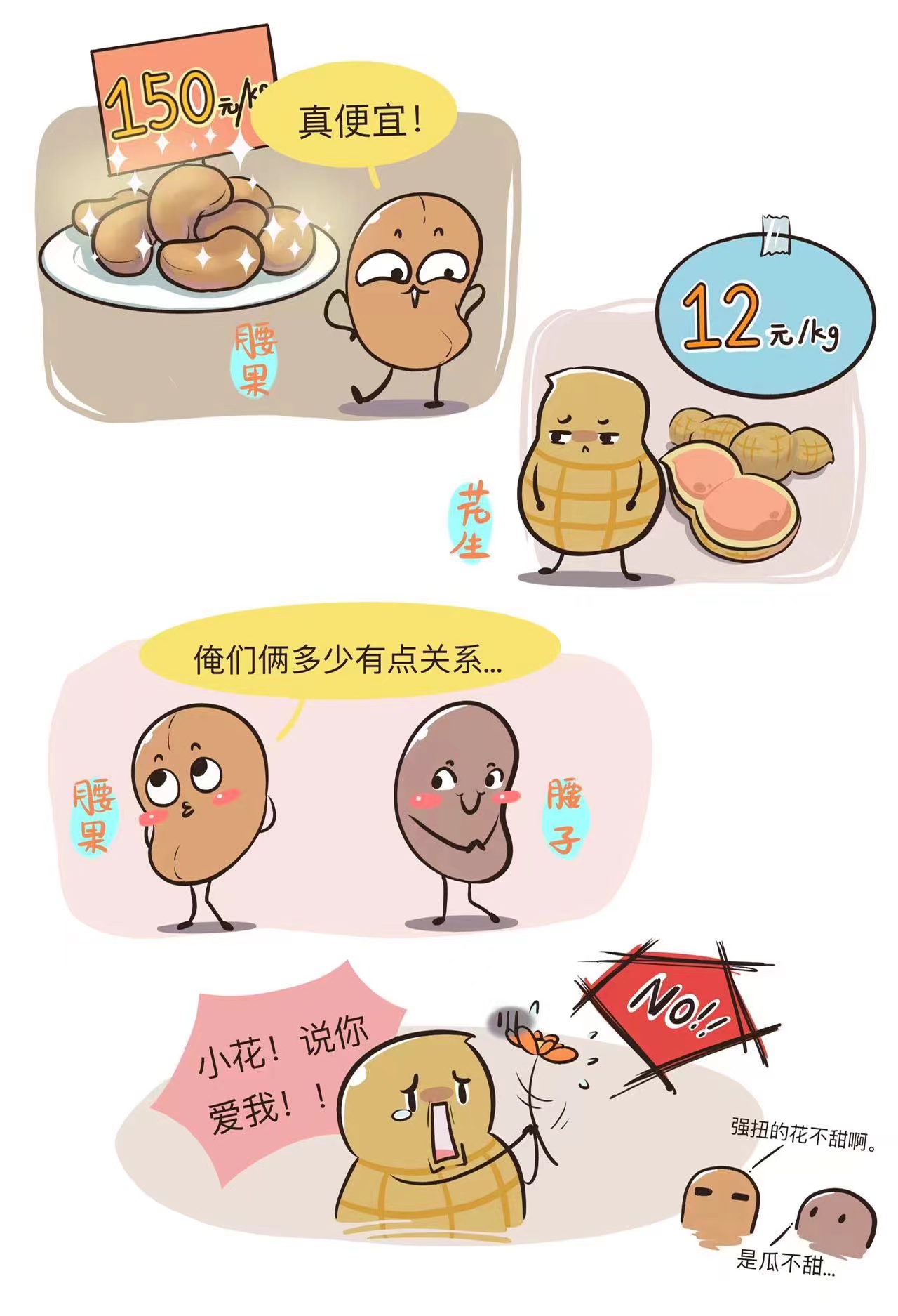 腰果科普文章配图 图1