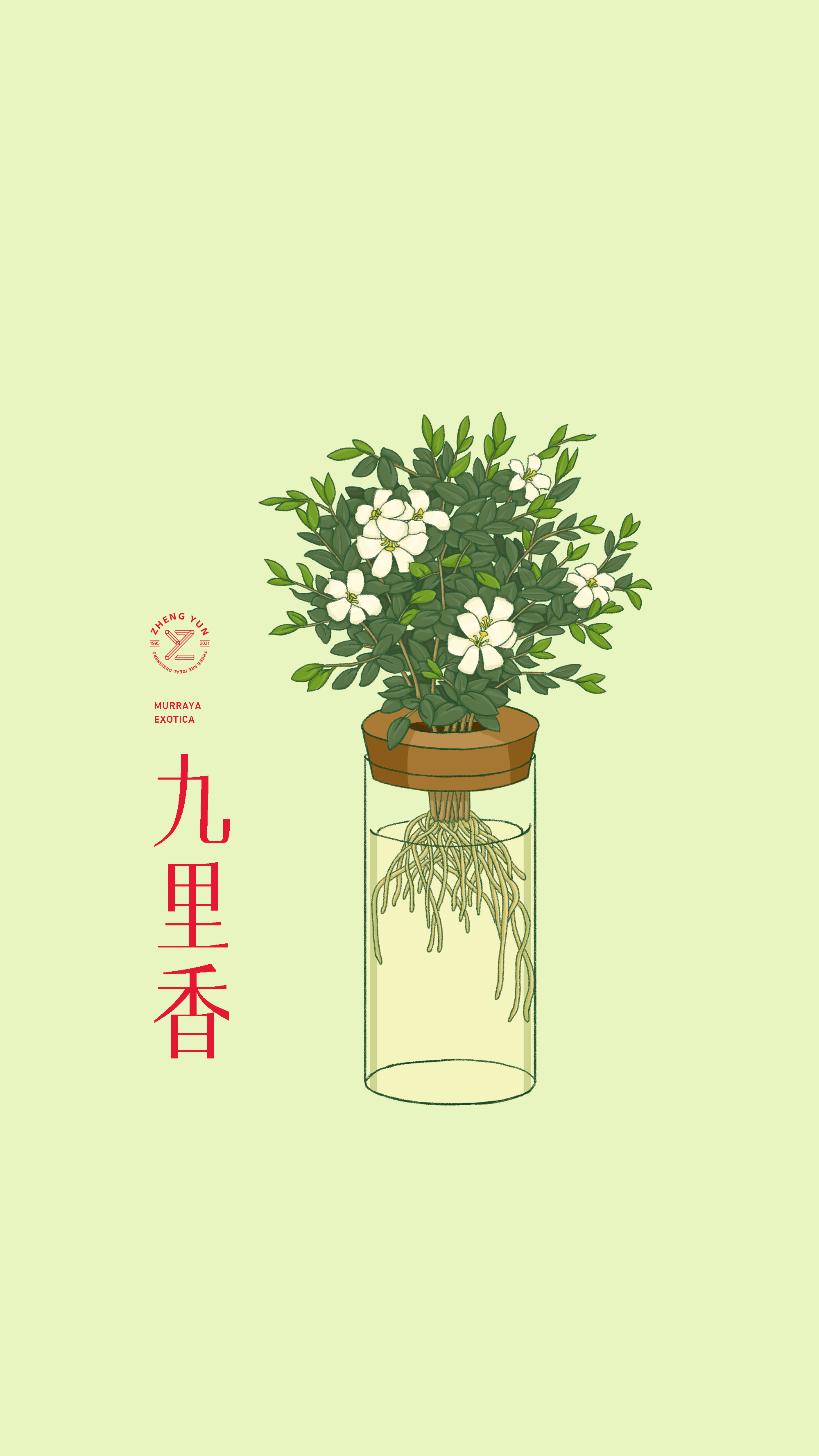 扁平植物插画 图9