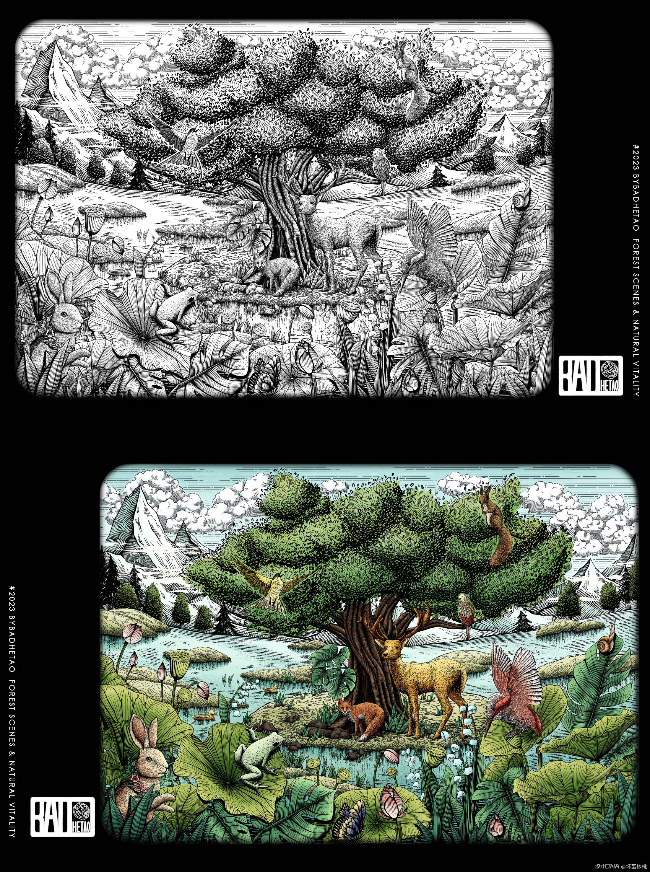 森林情景 自然生机|钢笔画风格包装插画 图3
