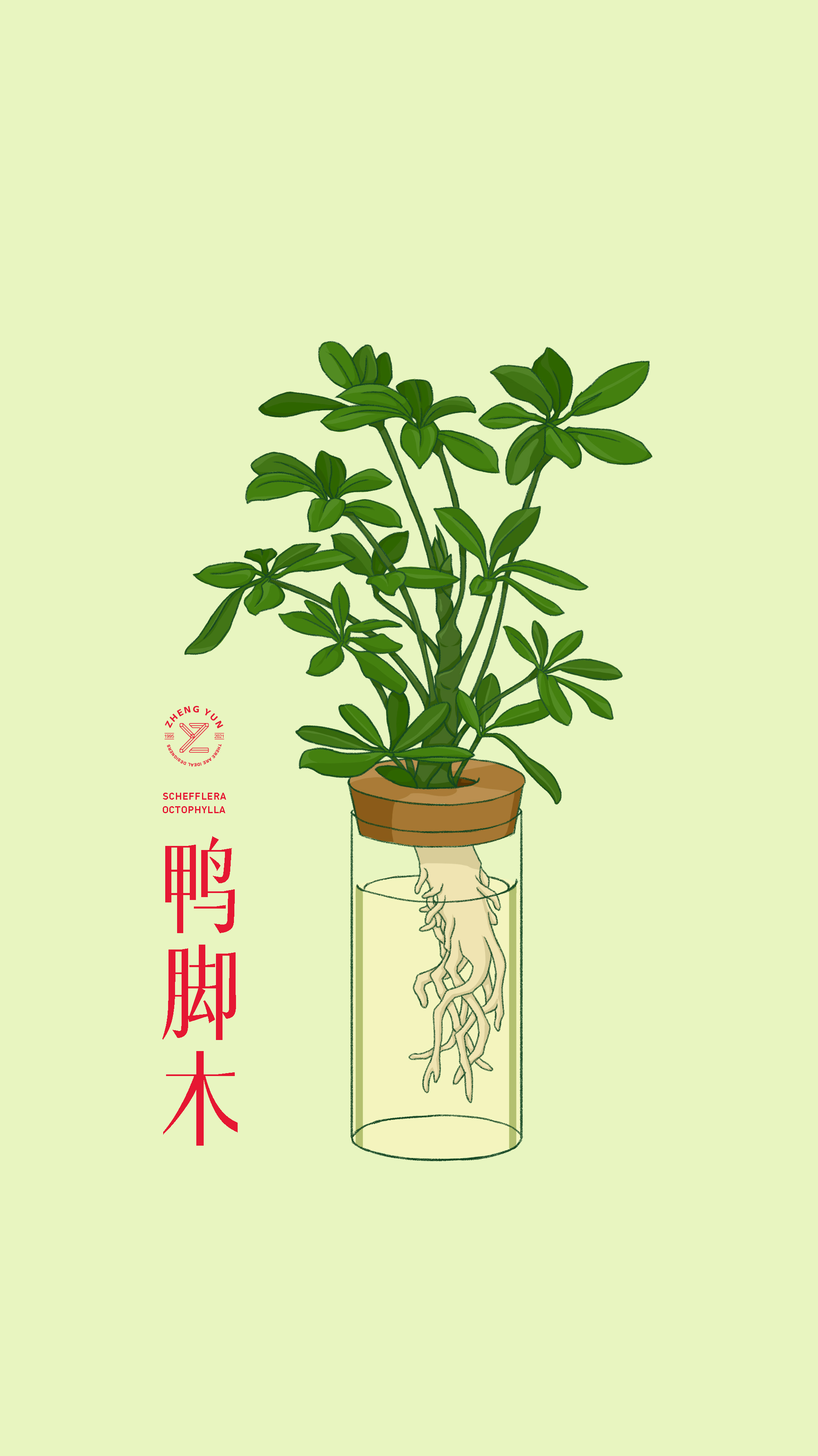 扁平植物插画 图4