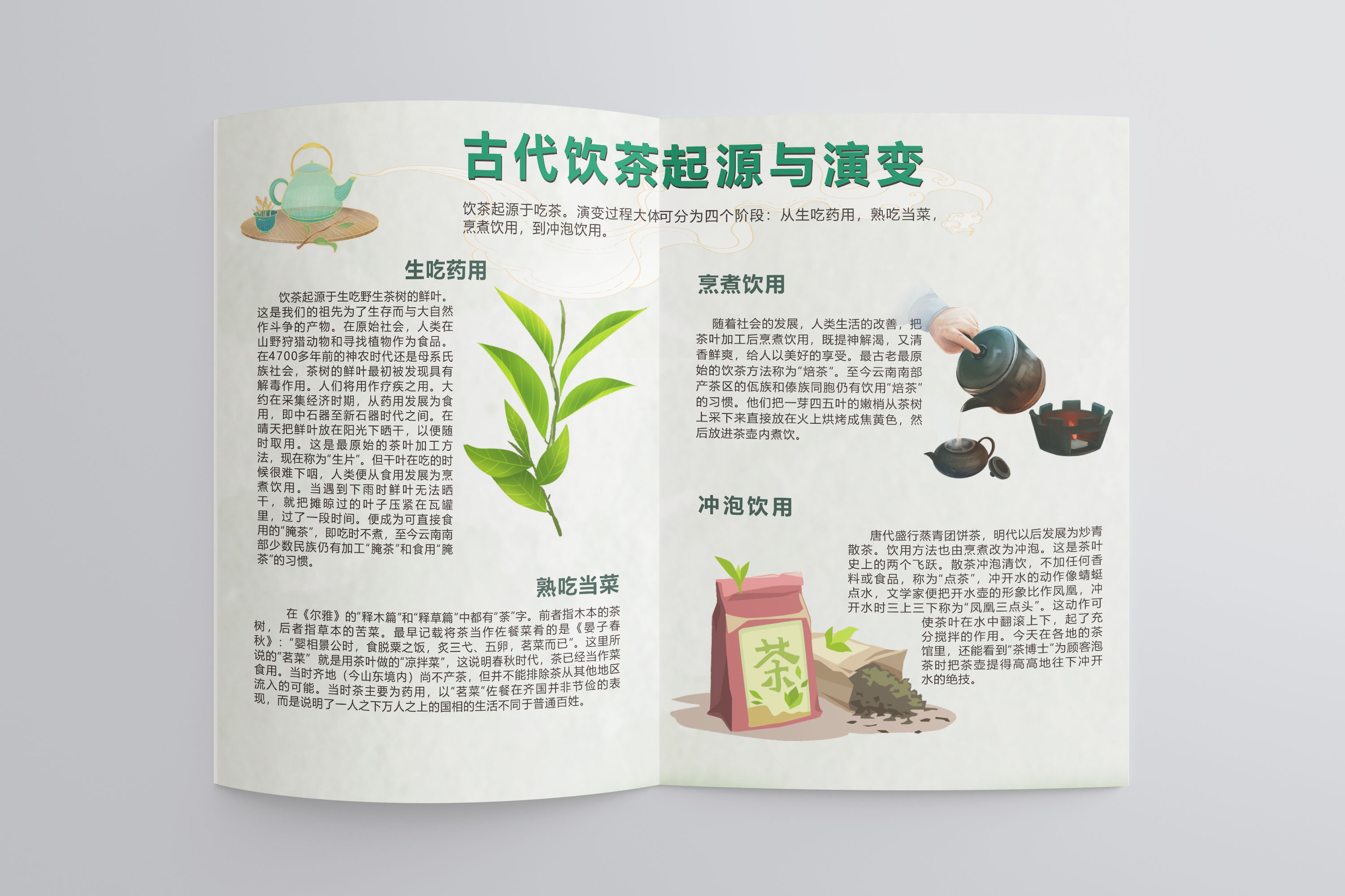 茶研学手册 排版设计 图6