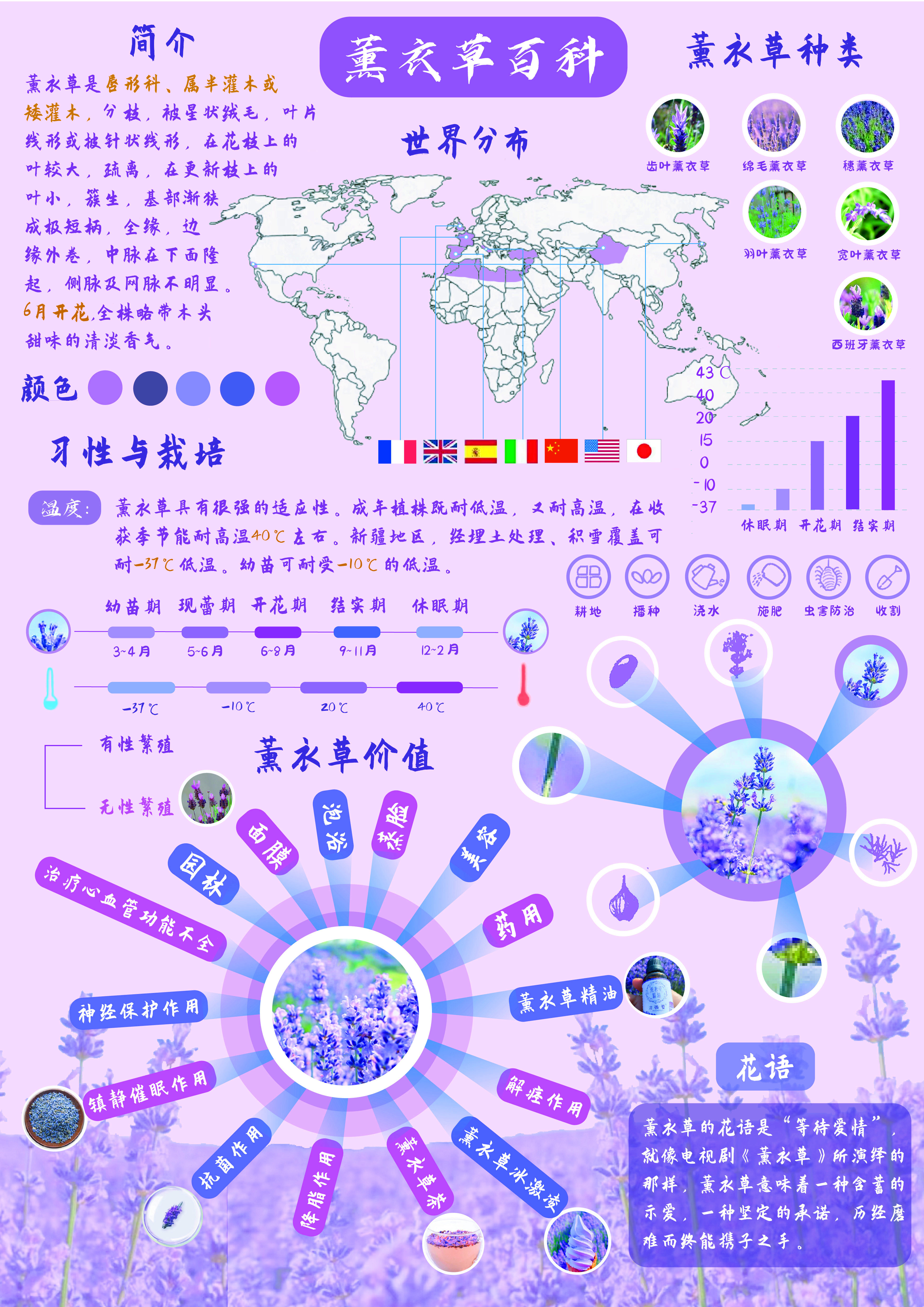 信息可视化海报 图5