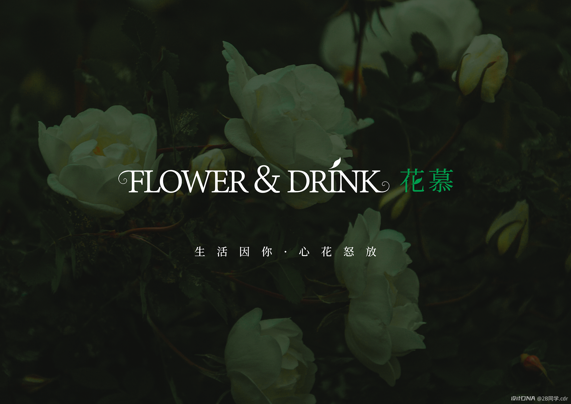 【Flower & Drink花慕】VI 图1