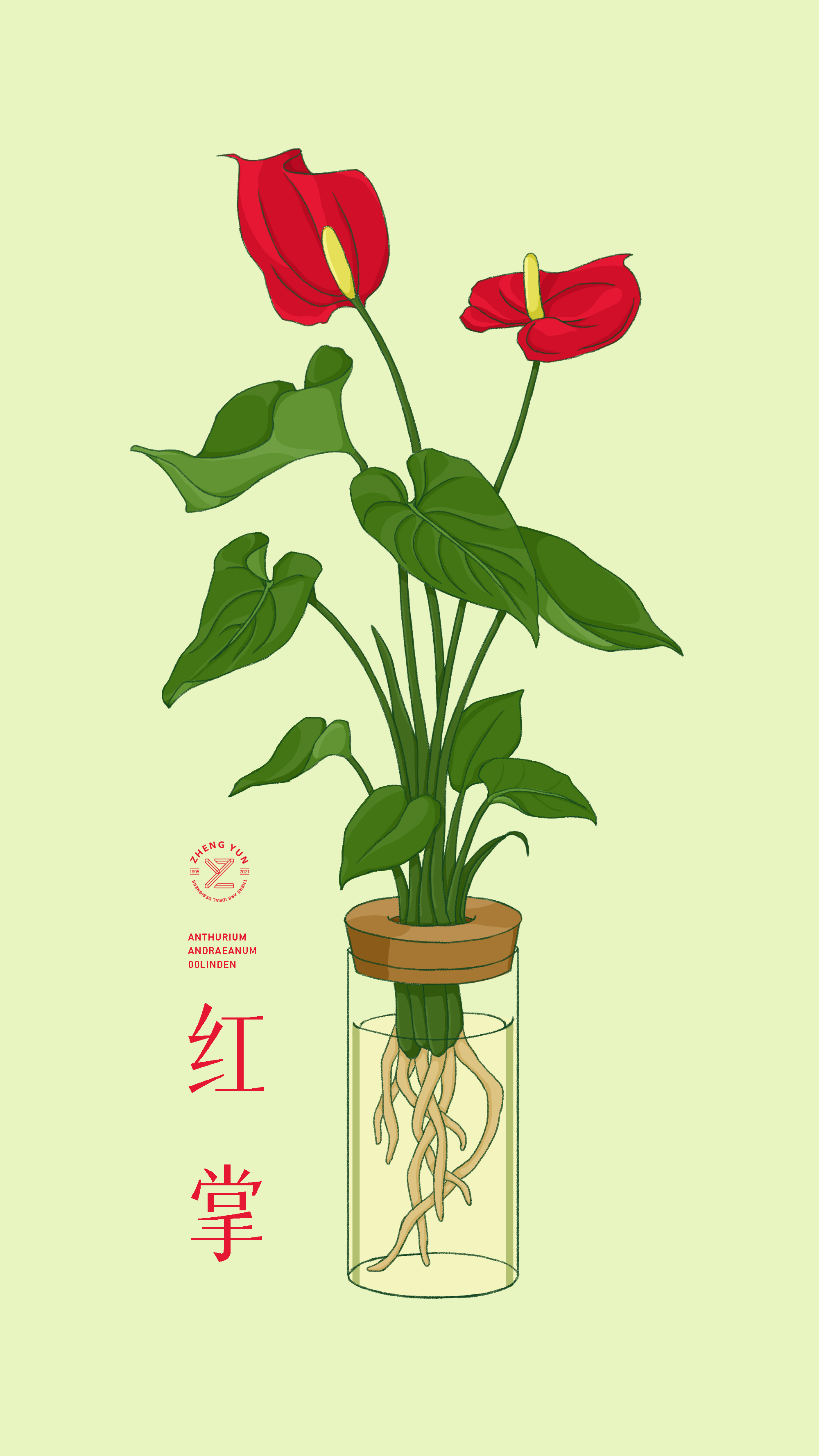 扁平植物插画 图2