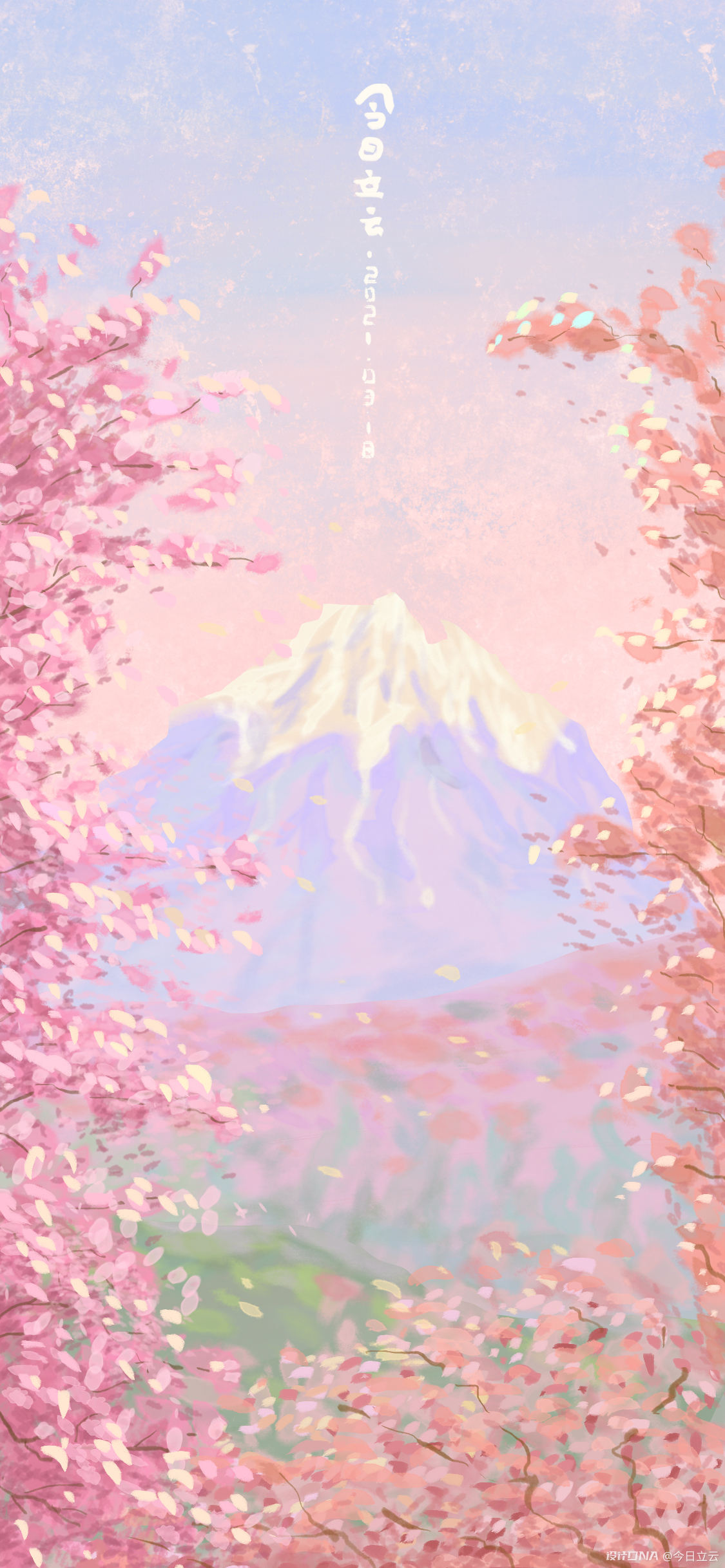 手机壁纸|樱花富士山 图1