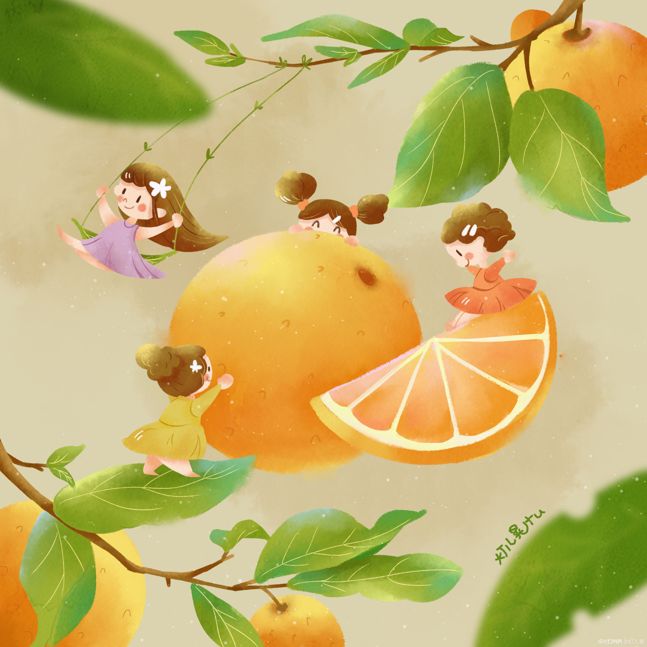 橙子树下的橙子 图1