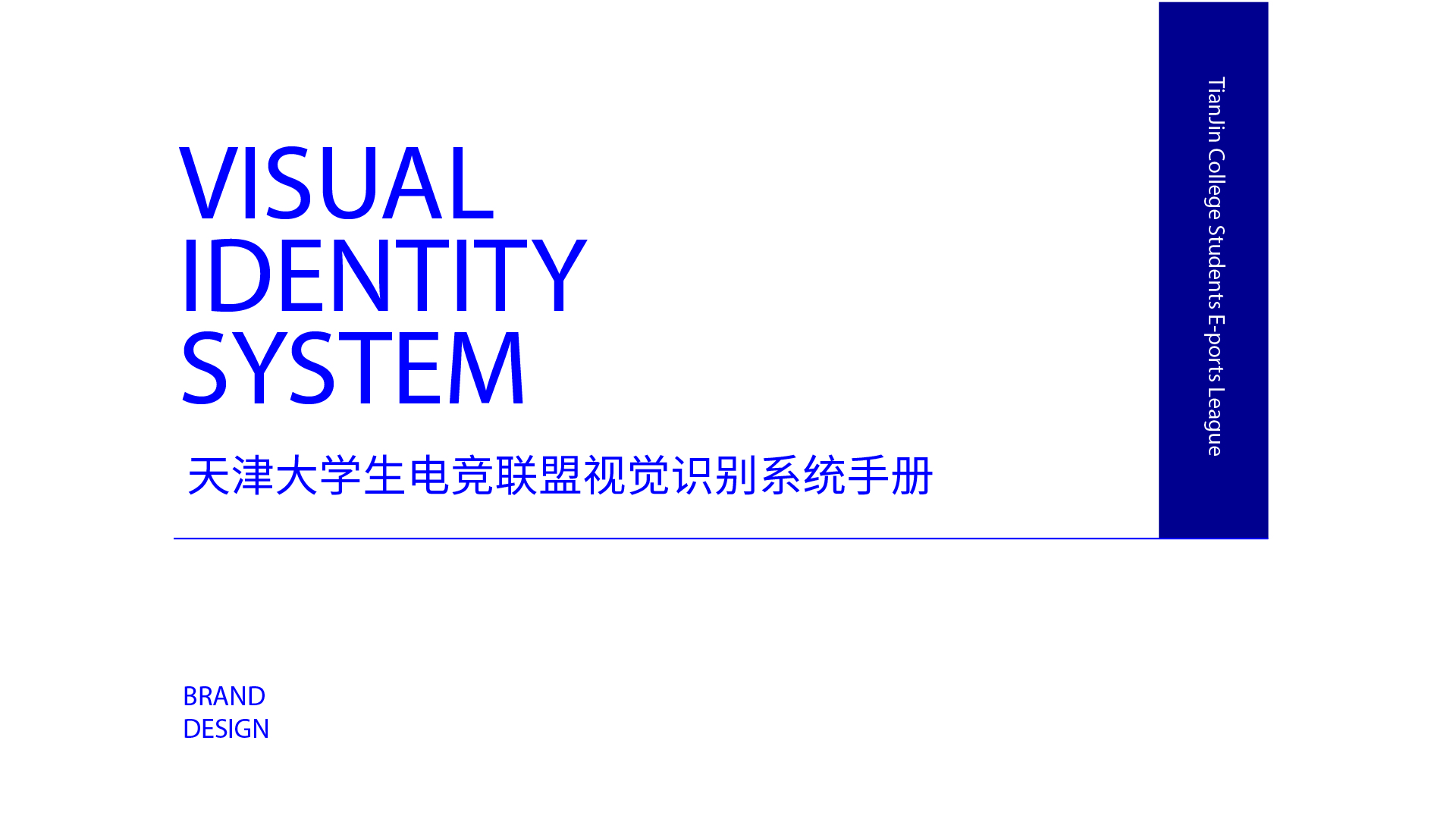 天津大学生电竞联盟  视觉手册设计 图4