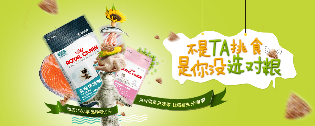 宠物海报banner 图4