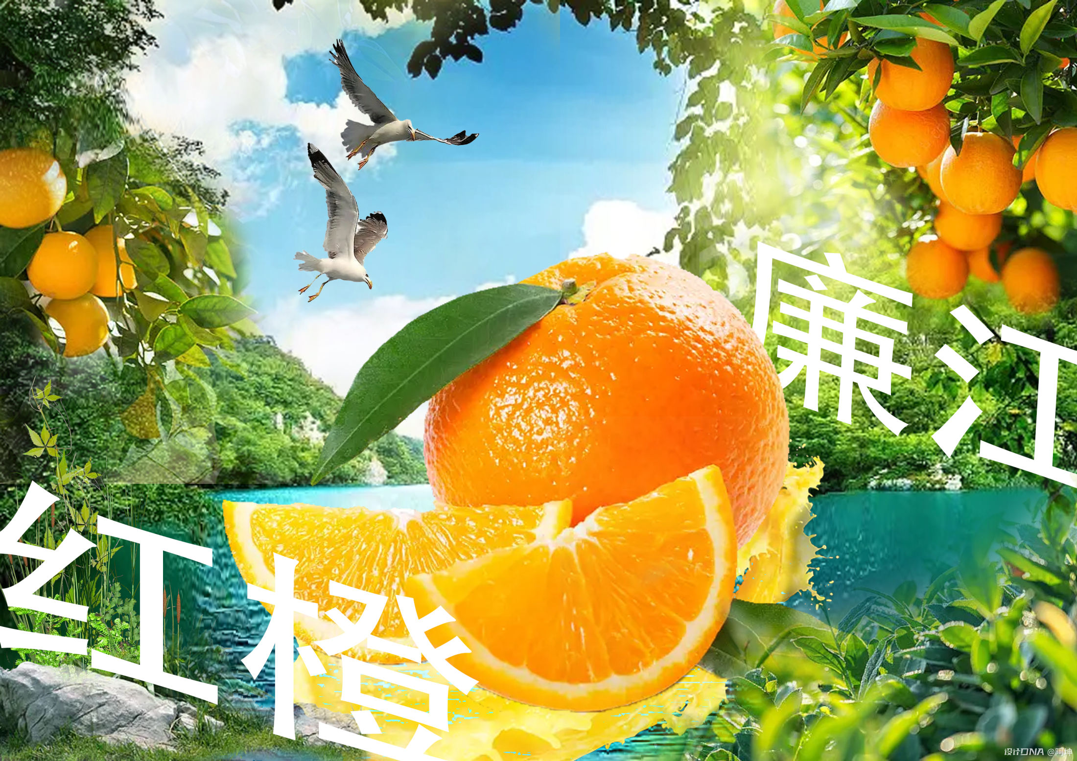 橙子夏日水果摄影图高清摄影大图-千库网