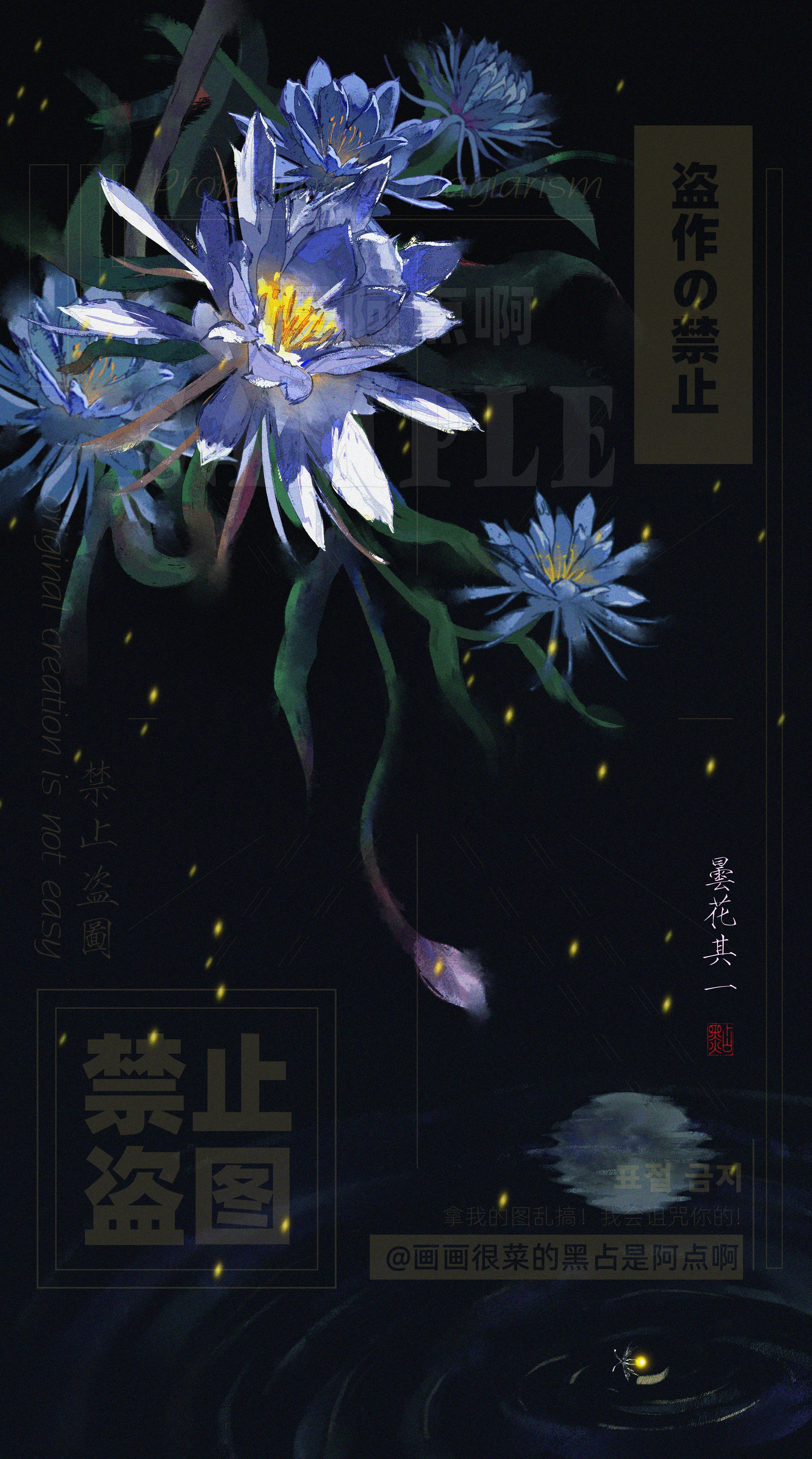 昙花其一 图1